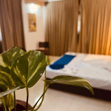 Ocean Beauty Guest House Negombo Kültér fotó